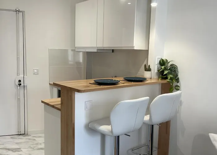 Apartment Stylish In Paris